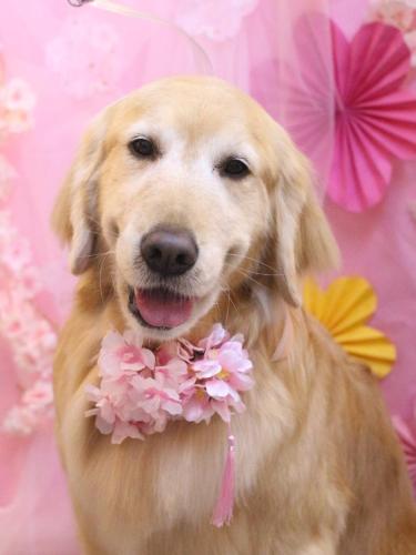 20250301アネラちゃん